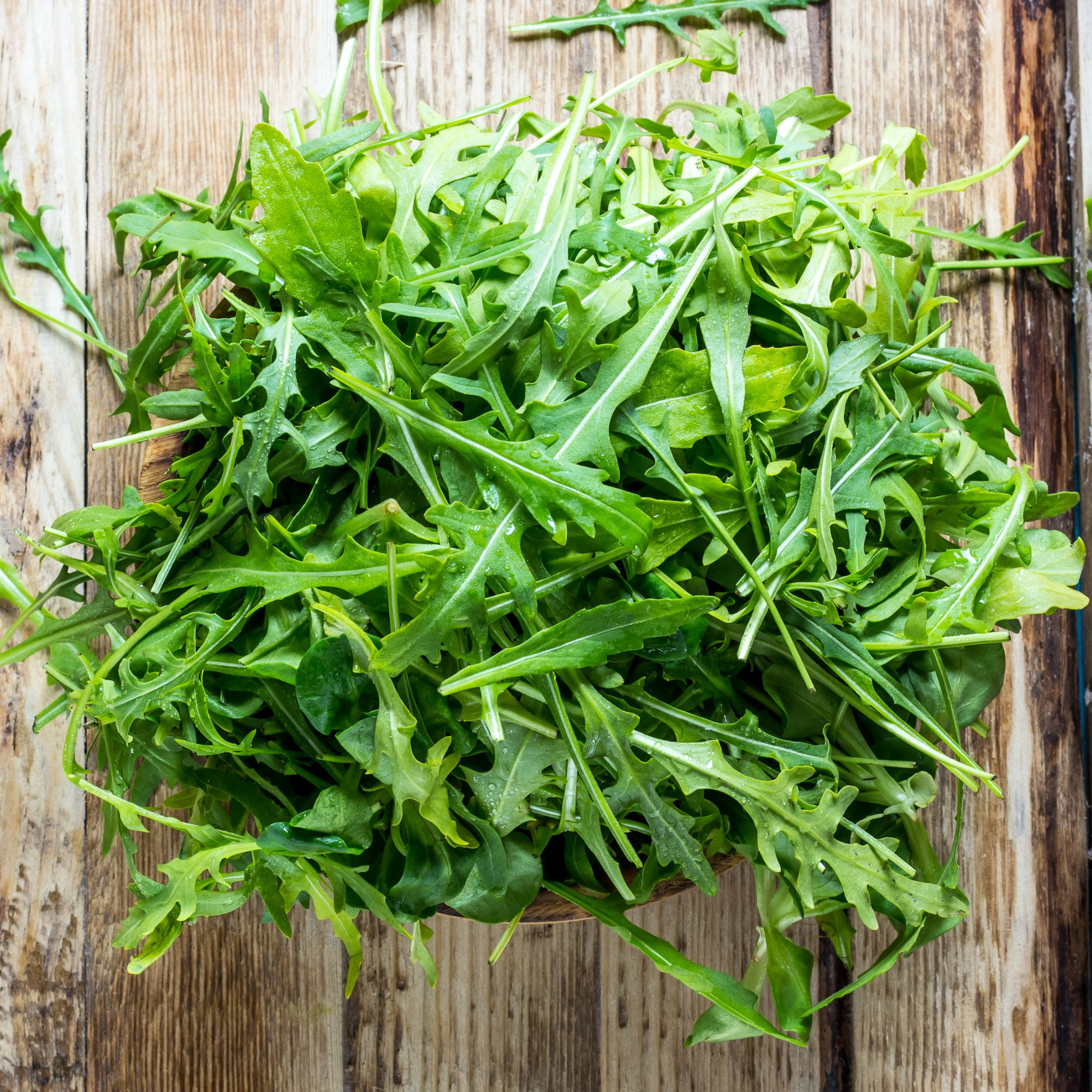 Rocket Arugula Seeds for Planting - aka Roquette Arugula - 1 Oz ~14,200 Seeds - Eruca vesicaria ssp. sativa
